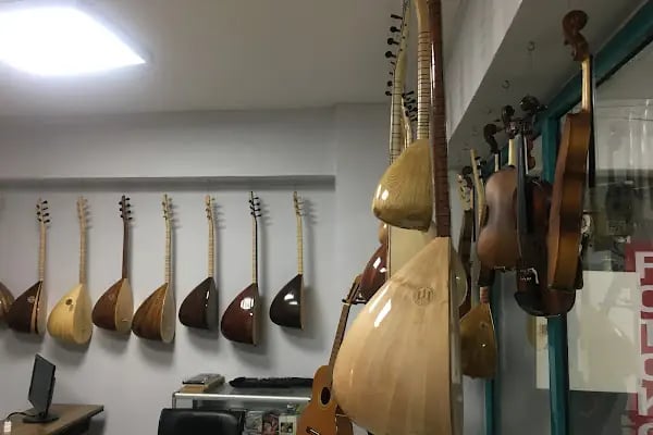 özleyiş müzik aletleri - Resim 5