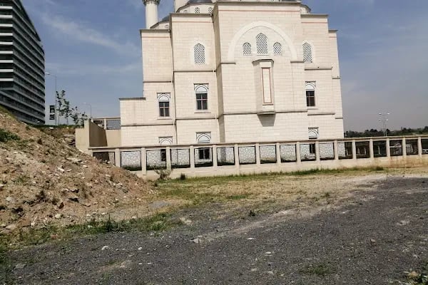 Batışehir Camii - Resim 19