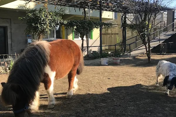 Hadımköy Özel Eğitim ve Rehabilitasyon Merkezi - Resim 8