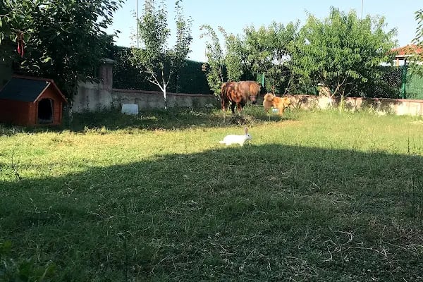 Hadımköy Özel Eğitim ve Rehabilitasyon Merkezi - Resim 9