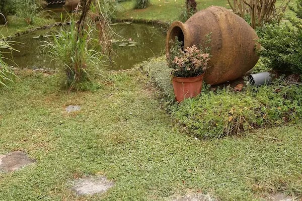 Serender Park Restoran ile Kır Düğün Bahçesi - Resim 10