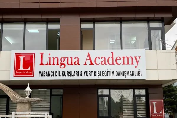 Lingua Academy - Resim 3