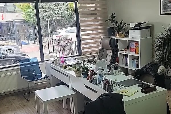 Lingua Academy - Resim 4