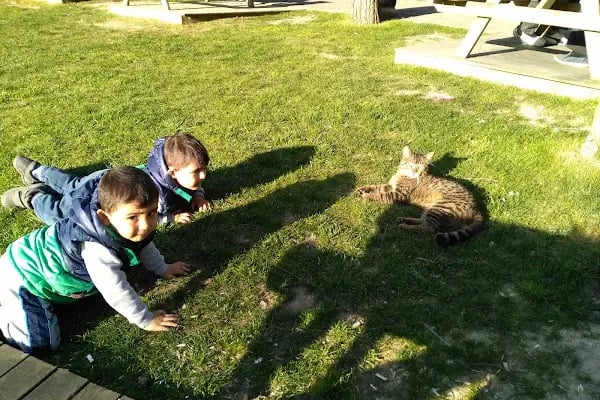Özel Çocuk Bahçesi Anaokulu &amp; Kindergarden - Resim 7