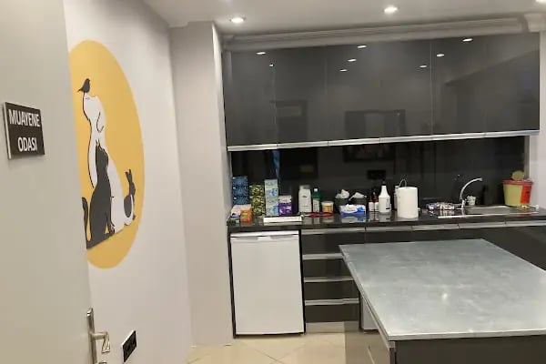 Adraga Veteriner Kliniği - Resim 3