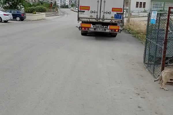 Beypazarı Çalışkan petrol &amp;Çalışkan gross market - Resim 7