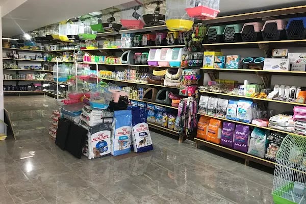 İSTANBUL CİHAN AKVARYUM PETSHOP - Resim 13