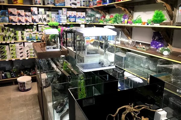 İSTANBUL CİHAN AKVARYUM PETSHOP - Resim 15