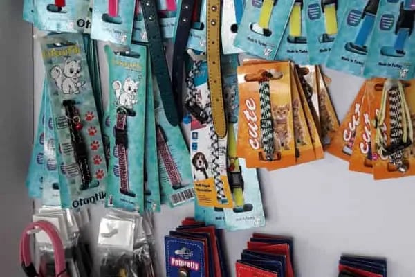 İSTANBUL CİHAN AKVARYUM PETSHOP - Resim 16