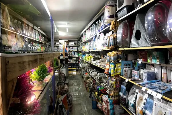 İSTANBUL CİHAN AKVARYUM PETSHOP - Resim 4
