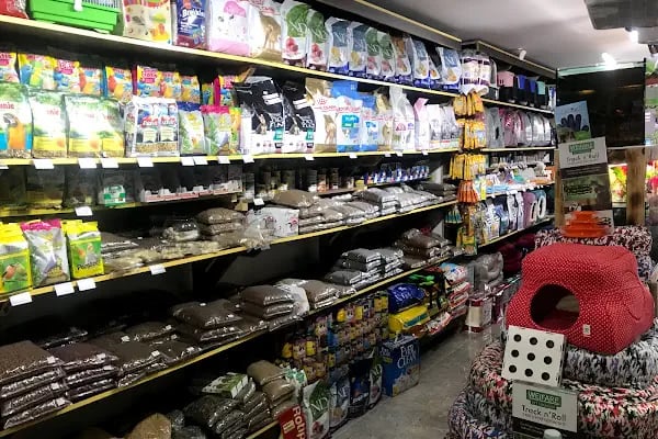 İSTANBUL CİHAN AKVARYUM PETSHOP - Resim 18