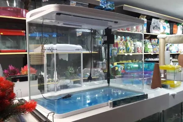 İSTANBUL CİHAN AKVARYUM PETSHOP - Resim 5