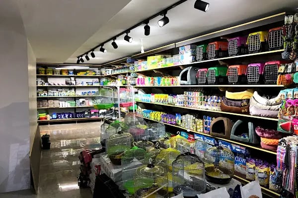 İSTANBUL CİHAN AKVARYUM PETSHOP - Resim 9