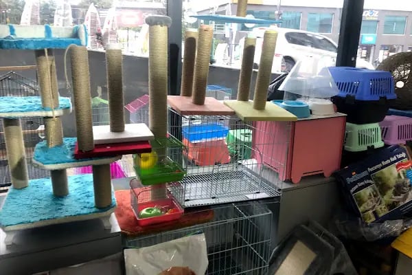 İSTANBUL CİHAN AKVARYUM PETSHOP - Resim 10