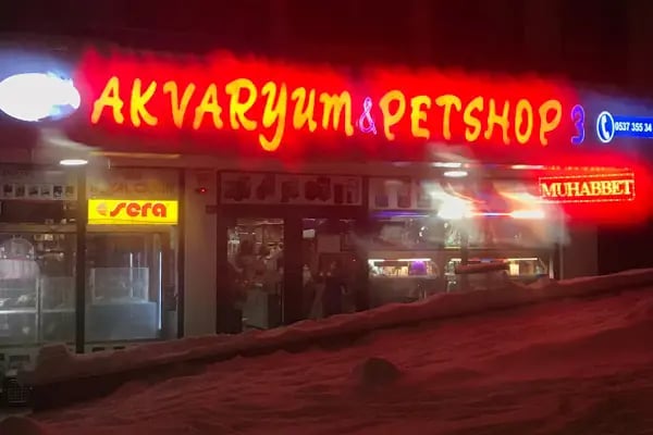 İSTANBUL CİHAN AKVARYUM PETSHOP - Resim 2