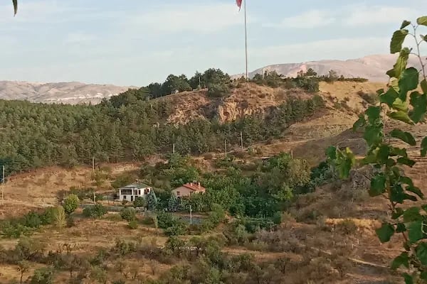 Ayaş Belediyesi - Resim 17