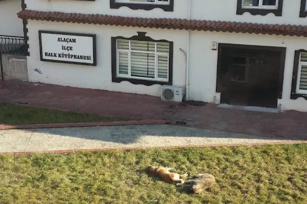 Alaçam Kaymakamlığı - Resim 17