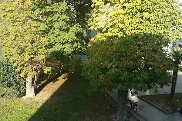 Alaçam Kaymakamlığı - Resim 8