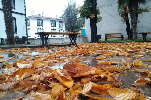Alaçam Kaymakamlığı - Resim 2
