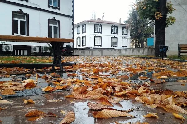 Alaçam Kaymakamlığı - Resim 12