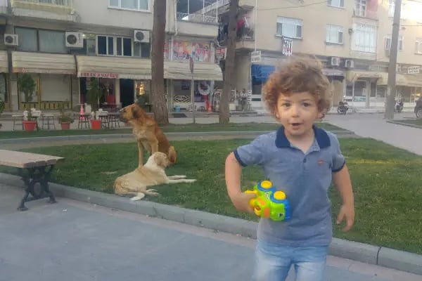 Alaçam Kaymakamlığı - Resim 15