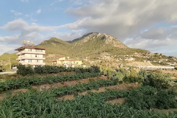 Alanya Alaaddin Keykubat Üniversitesi İktisadi, İdari ve Sosyal Bilimler Fakültesi - Resim 20