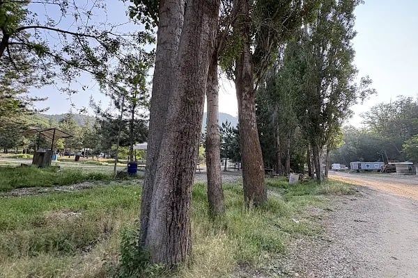 Yeşildere Mesire Alanı - Resim 19