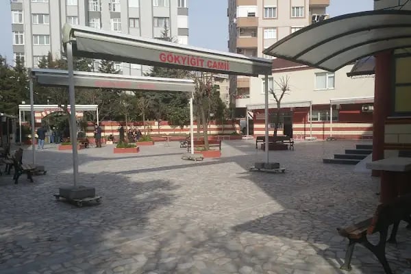 Gökyiğit Cami - Resim 11