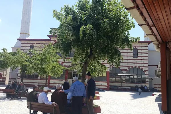 Gökyiğit Cami - Resim 8