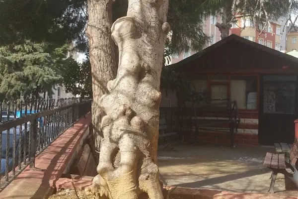 Gökyiğit Cami - Resim 12
