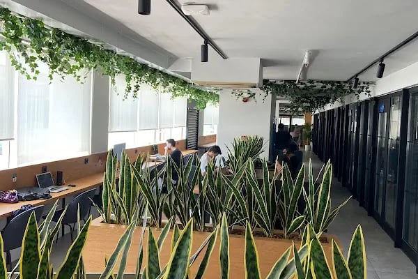 Work C I Paylaşımlı Ofis, Hazır Ofis, Sanal Ofis - Resim 2