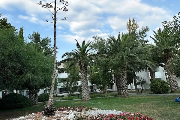 Club Beyy Resort Hotel - Resim 5