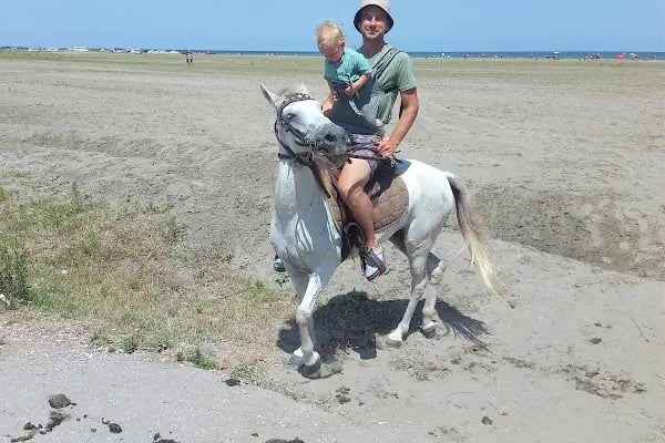 Bilginer atlı safari - Resim 13