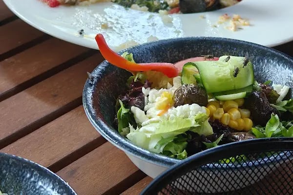 Egro | Cafe - Bistro - Restaurant - Resim 3