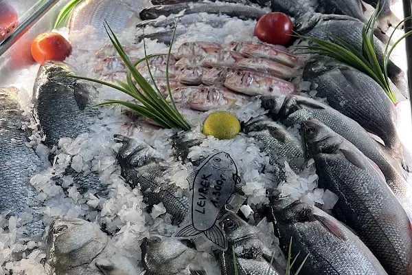 Adab-ı Balık Fish Restaurant - Resim 11