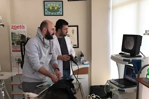 Gazi Veteriner Polikliniği - Resim 6