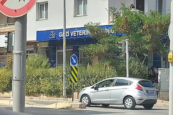 Gazi Veteriner Polikliniği - Resim 14