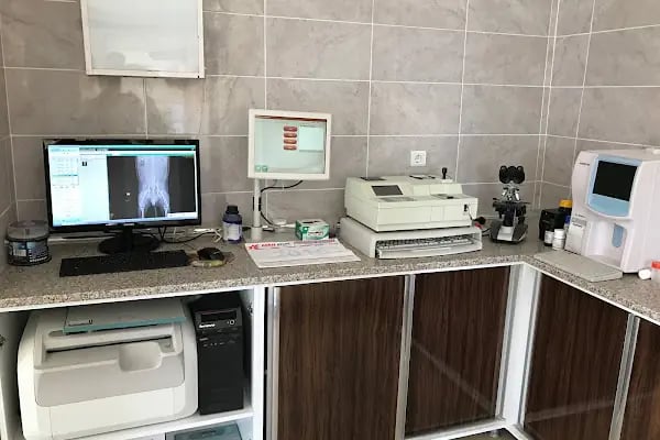 Gazi Veteriner Polikliniği - Resim 5