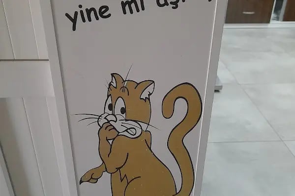 Gazi Veteriner Polikliniği - Resim 18