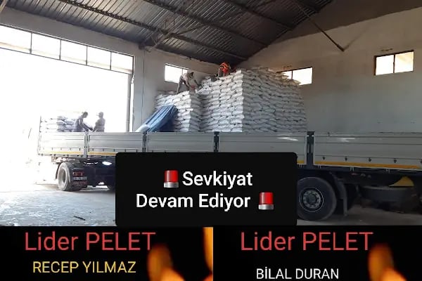 Lider pelet enerji ve orman - Resim 8