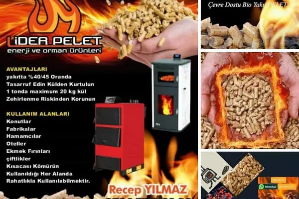 Lider pelet enerji ve orman - Resim 6