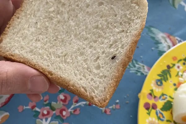 Başak Ekmek Fabrikası - Resim 14