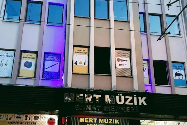 Trio Sanat Akademi &amp; Müzik kursu &amp; Keman Kursu &amp; Şan Kursu &amp; Bateri Kursu - Resim 1