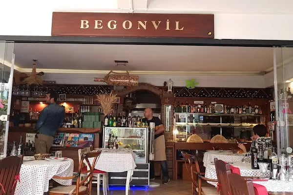 Begonvil - Resim 2