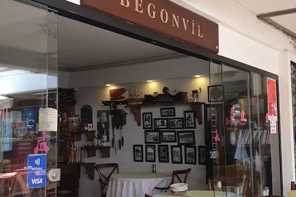 Begonvil - Resim 6