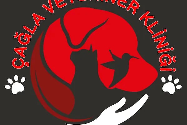 Çağla Veteriner Kliniği - Resim 10