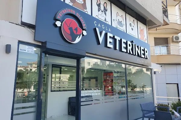 Çağla Veteriner Kliniği - Resim 6
