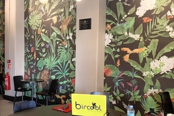 BirCool Web Tasarım Ajansı - Resim 6