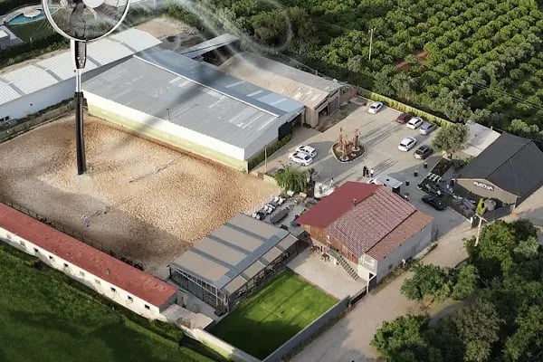 Hara Atlı Spor Kulübü - Resim 18