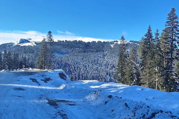 Ilgaz Yurduntepe Kayak Merkezi - Resim 7